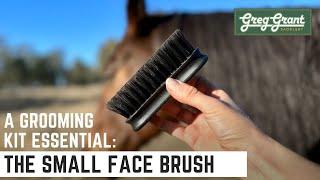 A Grooming Kit Essential: The Small Face Brush - Greg Grant Saddlery