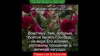 Коран Сура Аль-Мульк | 67:12 | Чтение Корана с русским переводом | Quran Translation in Russian