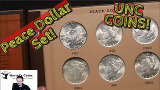 HIGH END PEACE Silver Dollar Coin Set. Uncirculated Peace Dollars