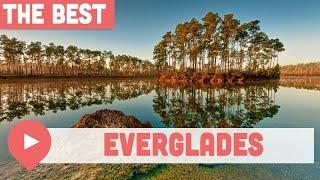 Best Things to Do in the Everglades