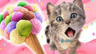 Cute Kitten Little Cat Adventure - Play Fun Pet Care - Preschool Educational Games #catlovers