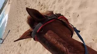 Rancho Caribeño Uvero Alto Punta Cana