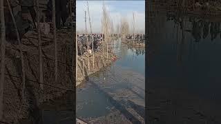 В ожидании Астраханской воблы#fishing#астрахань#рыбалка#отдых#вобла#