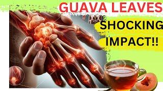 HIDDEN POWER OF GUAVA LEAVES: Incredible Benefits of Guava Leaves in 11 Compelling Reasons