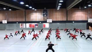 Wushu Lippe Taolu Training