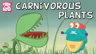 Carnivorous Plants | The Dr. Binocs Show | Educational Videos For Kids