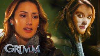 Rosalee's First Appearance | Grimm