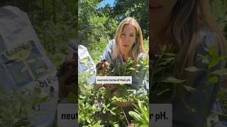 Here’s how you can get FREE compost from your Starbucks! #garden #compost #coffee #starbucks #free
