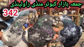 342 | Juma Bazar Kabootar Mandi Rawalpindi | Latest Update High Flyer Pigeon Market Price 27/9/2024