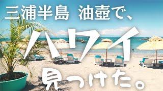 【綺麗な海】三浦半島 油壺で、ハワイ見つけた。【湘南移住暮らし/犬とキャンピングカー/キャバリア】