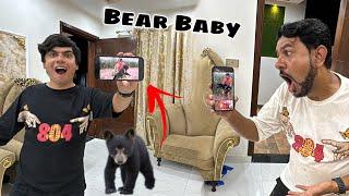 Jungle Logo Ny Bear Baby Pakar Lea  Hmara Lea 