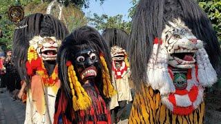 Barongan Galak !! Arak arakan Barongan Blora SINGO KUBRO live Tunjungan