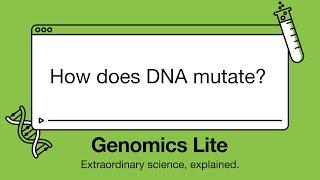 Genomics Lite: How does DNA mutate?