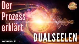 DUALSEELEN - Der Prozess erklärt