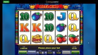 Online Slot Bonus Compilation - Book of Ra, Beetle Mania, Reel King and More