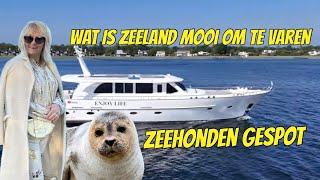 ON THE OOSTERSCHELDE, SPOTTING SEALS (first trip part 2 EP 297 yacht vlog)