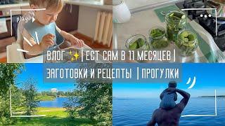 Влог мамы | Сын ест сам в 11 месяцев | Готовлю и делаю заготовки | Прогулки