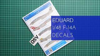 Eduard 1/48 F-14A Decals (D48105) Review