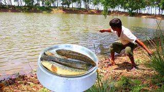 Fishing Video || To catch fish one must be as intelligent and skilled as the village boys