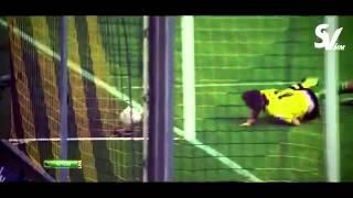 Marco Reus 2014  Goals  Skills  Borussia Dortmund  HD