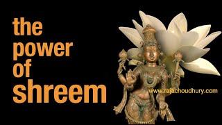 THE POWER OF SHREEM Manifest Anything with Raja Choudhury