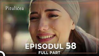 Pitulicea | Episodul 58