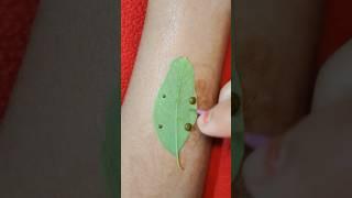 Viral video beautiful mehndi design ️#youtube #shortsfeed