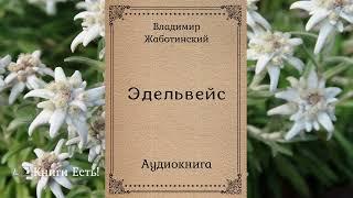 Эдельвейс  Владимир Жаботинский  Аудиокнига | Рассказ