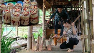 Harvesting wild bamboo shoots, how to make handmade salted bamboo shoots of the countryside