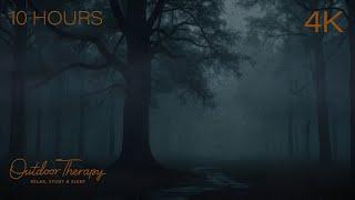 Wet Forest Thunder | Rain Sounds to Calm Your Noisy Mind [4K] 10 Hours