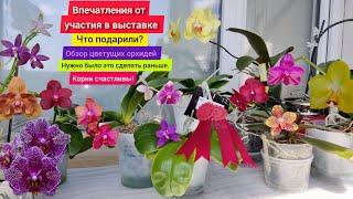 Впечатления от участия в выставке. Что подарили? Честная рецензия. Корни счастливы! Обзор коллекции.