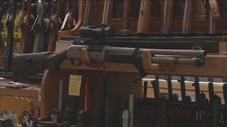 NY gun reform bills vote expected as Adams announces gun czar