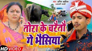 #Video | तोरा के चरैतौ गे भैसिया | #Amit Ashik  #Anjali Bharti | New Maghi Song 2022