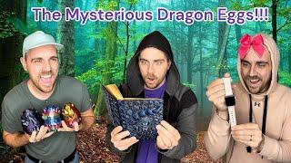The Mysterious Dragon Eggs!!!