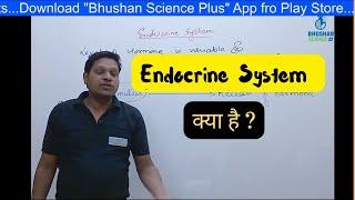 Endocrine System Introduction  Anatomy and Physiology  Pharmacy and Nursing  Bhushan Science