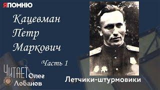 Кацевман Петр Маркович. Часть 1.  Кацевман Петр Маркович  Летчик штурмовик