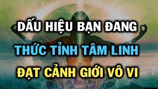 Dấu hiệu cho thấy bạn đang thức tỉnh tâm linh, đạt tới trạng thái vô vi thanh tịnh