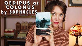 OEDIPUS AT COLONUS BY SOPHOCLES | A VERY DELAYED DISCUSSION VIDEO