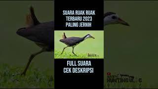 suara burung ruak ruak