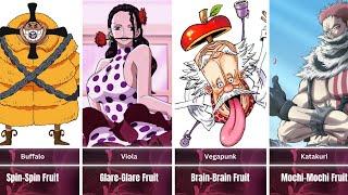 Every Single Paramecia Devil Fruit User In One Piece