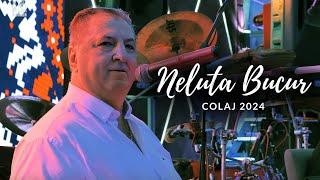 Neluta Bucur | Cel Mai Frumos Colaj de Sarbe si Hore 2024 | Neluta Bucur [LIVE 2024]