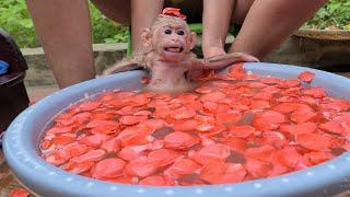 So cute  Monkey Prince David sits and relaxes in a bathtub full of flowers