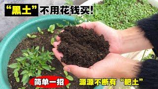 火爆全网的“养土”方法，做法非常简单，改善土质，让蔬果长得更健壮！|How to have fertile soil?