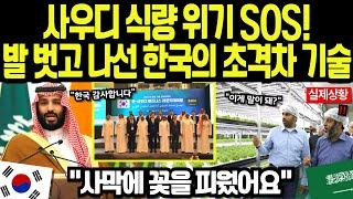 [해외감동사연] "사막에서 농사가 가능해?" 사우디 왕실도 경악한 한국 스마트팜의 기적!