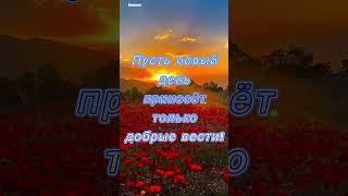 Доброго утра и счастливого дня! #красота_начинается_с_души