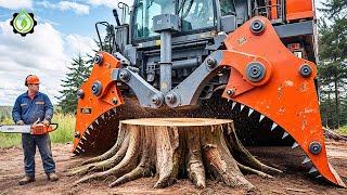 Extreme Dangerous Fastest Big Chainsaw Cutting Tree Machines | Monster Stump Removal Excavator #115