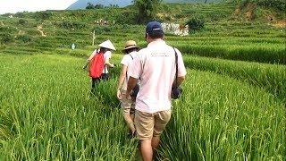 Trekking in Sapa: Lao Chai - Ta Van - Giang Ta Chai