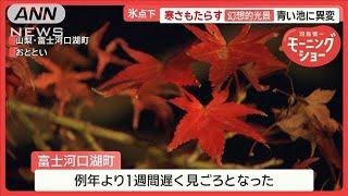 気温7℃の芦ノ湖…外国人観光客10人が寒すぎて“船上ダンス”　半そでの人も【羽鳥慎一モーニングショー】(2024年11月21日)