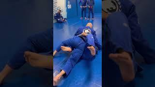 Great takedowns for BJJ compilation #judo #bjj #brazillianjiujitsu #jiujitsu