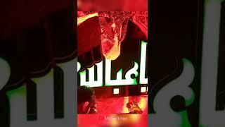 SHAHADAT BIBI SAKINA S.A. NOHA WHATSAPP STATUS #bibisakina #imamhussain #whatsappstatus #shorts